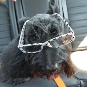 Meet your Posher, Janet